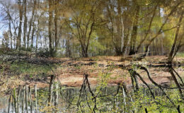 002 - gute maltechnik